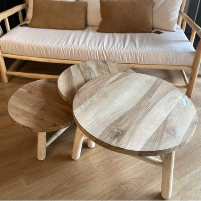 Table Basse en Noyer et Eucalyptus